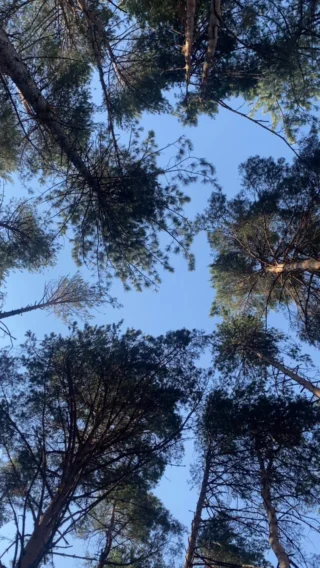 Instagram post from sandrajulio.arq. This post is in position 5.