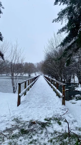 Instagram post from sandrajulio.arq. This post is in position 3.